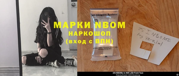 трава Бородино