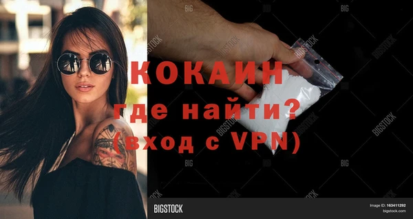 кокс Богородицк