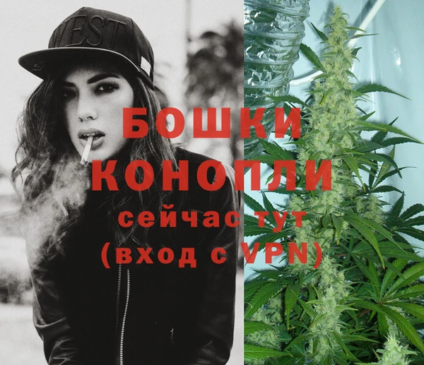 2c-b Бронницы