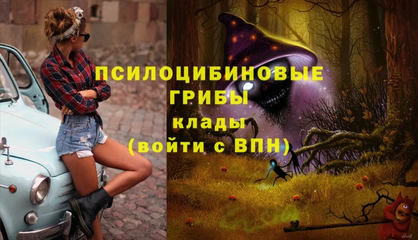 2c-b Бронницы