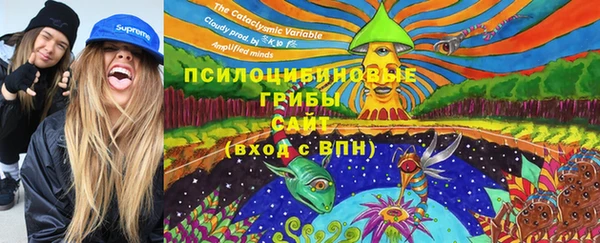 трава Бородино