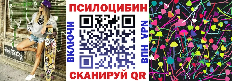 ОМГ ОМГ ссылка  Дальнереченск  Псилоцибиновые грибы Psilocybine cubensis  наркотики 